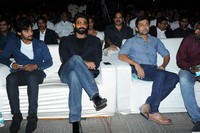 Celebs at Rough Movie Audio Function